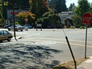 sohojo before